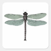 Antiek Typografische  dragonfly-illustratie Vierkante Sticker (Voorkant)
