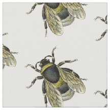 Antiek typografische  honingbijenillustratie