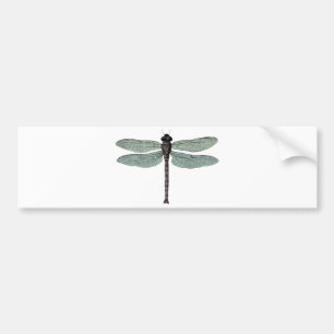 antiek typografische libellen bumpersticker