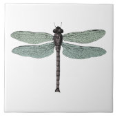 antiek typografische libellen tegeltje (Voorkant)