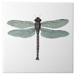 antiek typografische  libellen tegeltje