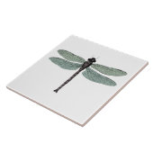 antiek typografische  libellen tegeltje (Zijkant)