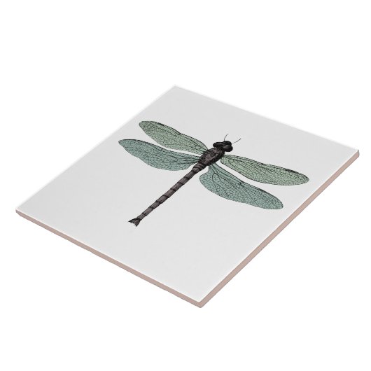 antiek typografische libellen tegeltje (Zijkant)