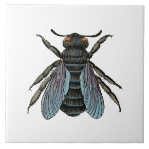 antiek typografische vintage bij tegeltje