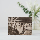 Antiek uitziende foto briefkaart (Staand voorkant)