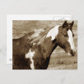 Antiek uitziende schildklier briefkaart (Voorkant / Achterkant)