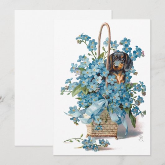 Antiek Valentijn vergeet me Nots & Dachshund Card  Feestdagenkaart (Voorkant / Achterkant)