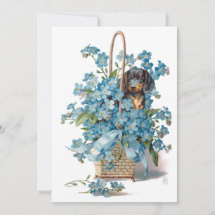 Antiek Valentijn vergeet me Nots & Dachshund Card  Feestdagenkaart