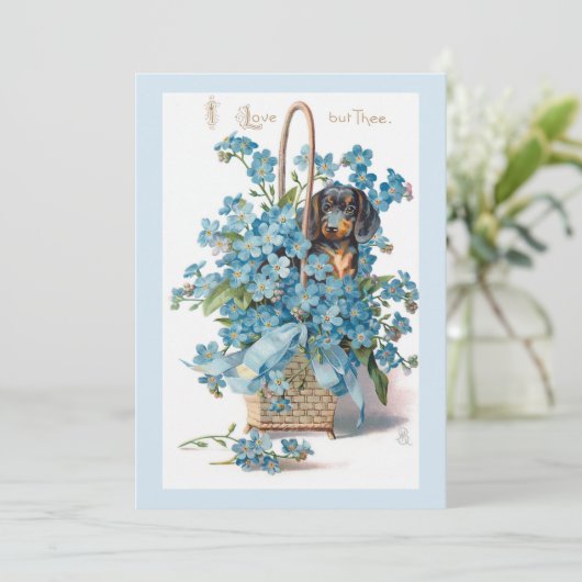 Antiek Valentijn Vergeet me Nots en Dachsund Feestdagenkaart (Staand voorkant)