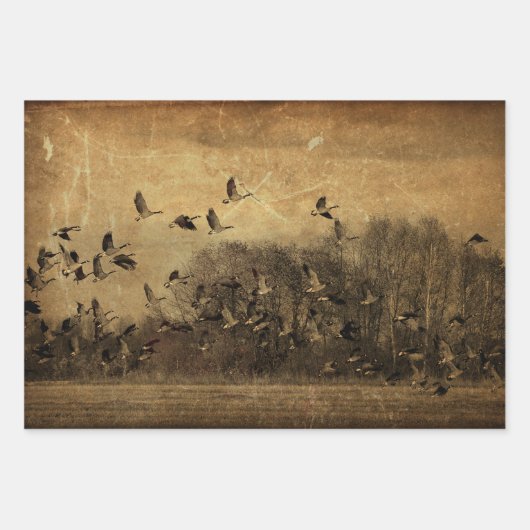  Antiek van ganzen Inpakpapier Vel (Voorkant 2)