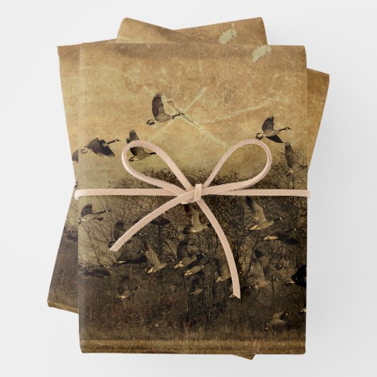  Antiek van ganzen Inpakpapier Vel (In situ)