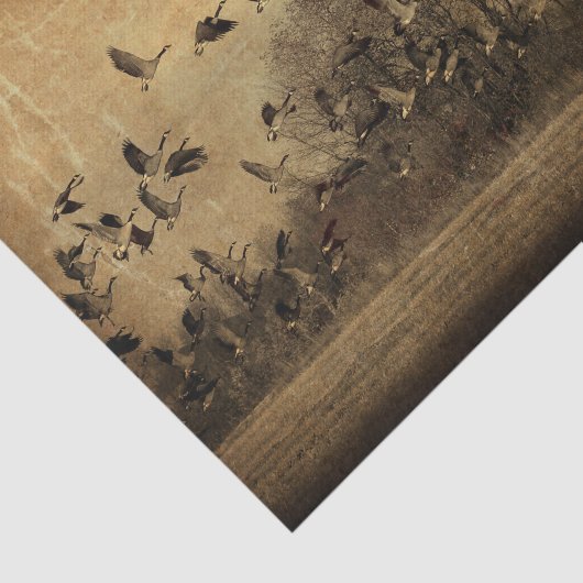 Antiek van ganzen Tissuepapier (Detail)