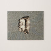 Antiek Varkens  tekening Legpuzzel (Horizontaal)