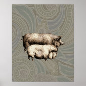 Antiek Varkens  tekening Poster (Voorkant)