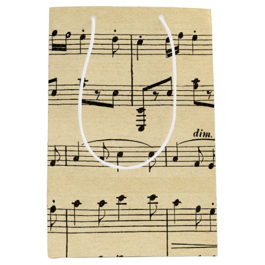 Antiek vel muziek medium cadeauzakje (Voorkant)