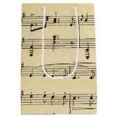 Antiek vel muziek medium cadeauzakje (Achterkant)