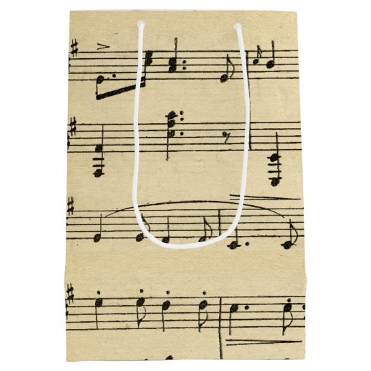 Antiek vel muziek medium cadeauzakje (Achterkant)