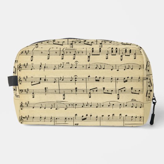 Antiek vel muziek toilettasje (Voorkant)