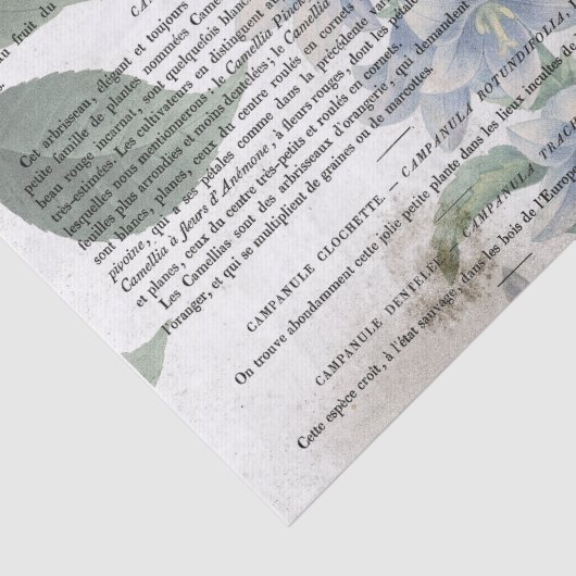 Antiek  ventilator Franse boekpagina ontkoppeling Tissuepapier (Detail)