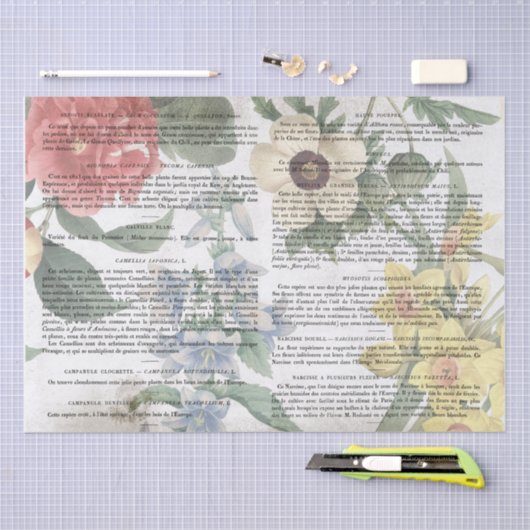 Antiek ventilator Franse boekpagina ontkoppeling Tissuepapier (Craft)