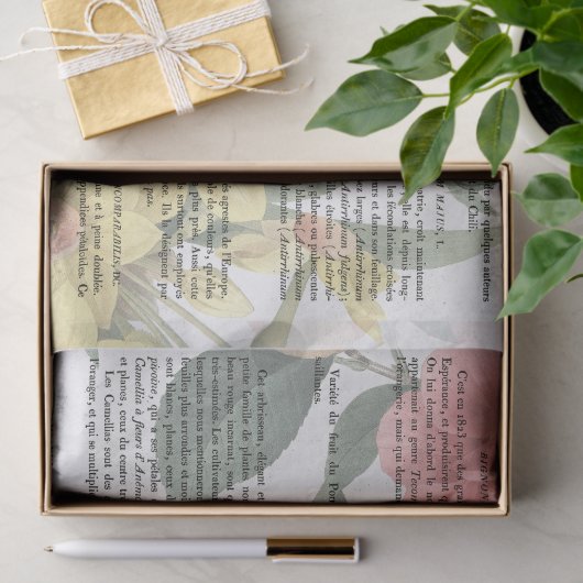 Antiek ventilator Franse boekpagina ontkoppeling Tissuepapier (Geschenk)