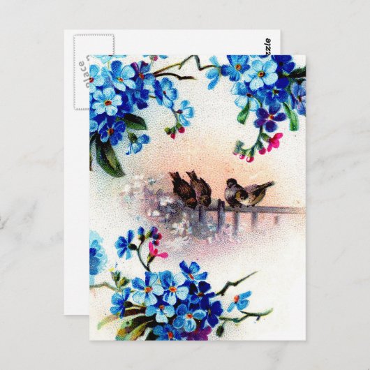 Antiek Vergeet me niet om de vogelscene van het Fl Briefkaart (Voorkant / Achterkant)