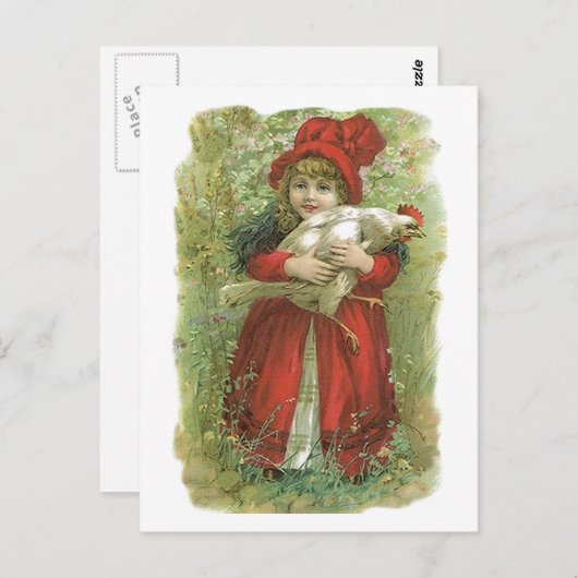 Antiek Victoriaans kiprooster Hen Eiproducent Briefkaart (Voorkant / Achterkant)