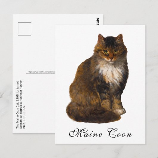 Antiek Victoriaans Maine Coon Cat Portrait Paintin Briefkaart (Voorkant / Achterkant)