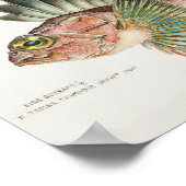 Antiek vis Neosebastes Scorpaenoides 1808 Poster (Hoek)