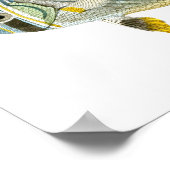 Antiek vis print nr. 9 Beach House Decor Art (Hoek)