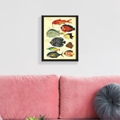 antiek visdruk canvas afdruk (Insitu (Woonkamer))
