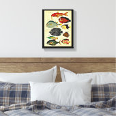 antiek visdruk canvas afdruk (Insitu (Slaapkamer))