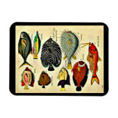 antiek visdruk magneet (Horizontaal)