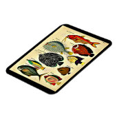 antiek visdruk magneet (Linkerzijde)