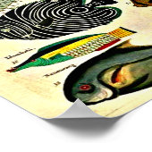 antiek visdruk poster (Hoek)