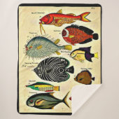 antiek visdruk sherpa deken (Voorkant)