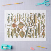 Antiek viskaart Crafter's Tissuepapier (Craft)
