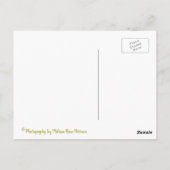 Antiek vliegtuig briefkaart (Achterkant)