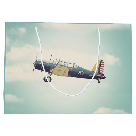 Antiek Vliegtuig Groot Cadeauzakje (Achterkant)