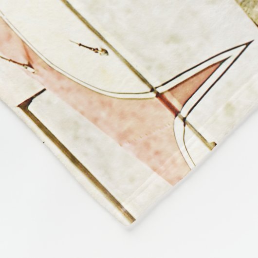 Antiek vliegtuigrugleuning fleece deken (Hoek)