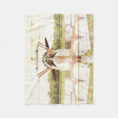 Antiek vliegtuigrugleuning fleece deken (Voorkant)