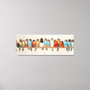 Antiek Vogelbaars Hector Giacomelli Canvas Afdruk