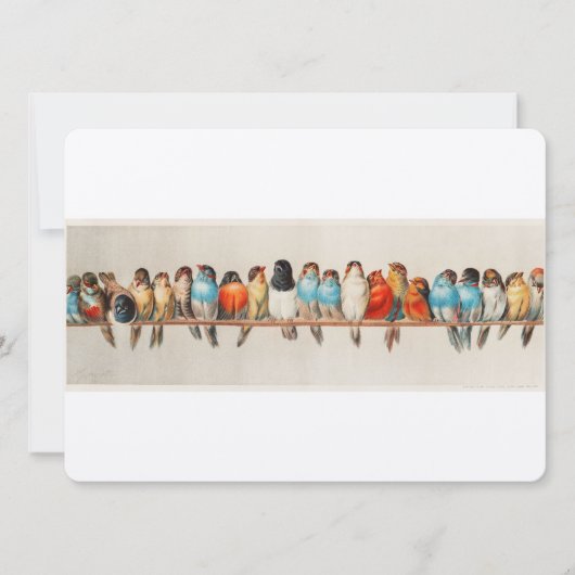 Antiek Vogelbaars Hector Giacomelli Kaart (Voorkant)