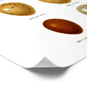 Antiek vogeleieren afdrukken nr. 2 paasdeeg poster (Hoek)