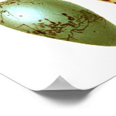 Antiek vogeleieren afdrukken nr. 8 paasdeeg poster (Hoek)