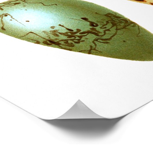 Antiek vogeleieren afdrukken nr. 8 paasdeeg poster (Hoek)