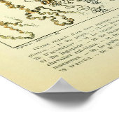 Antiek vogeleieren Muur-decoratie Poster (Hoek)