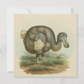 Antiek vogelgriepkaart (Voorkant)