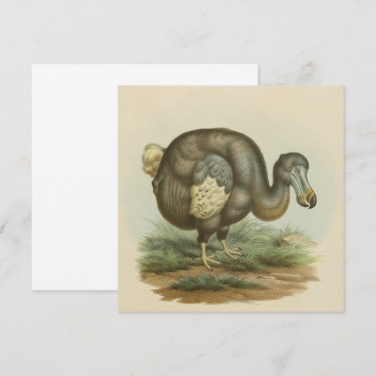 Antiek vogelgriepkaart (Voorkant / Achterkant)