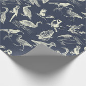 Antiek vogelillustraties verergeren de zeemacht va cadeaupapier (Hoek)